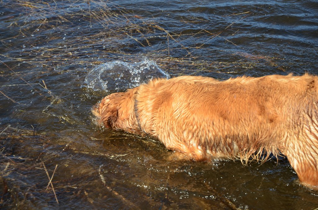 700_4317.jpg - Fishing for Walleyes