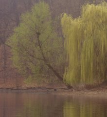 DSC_8628