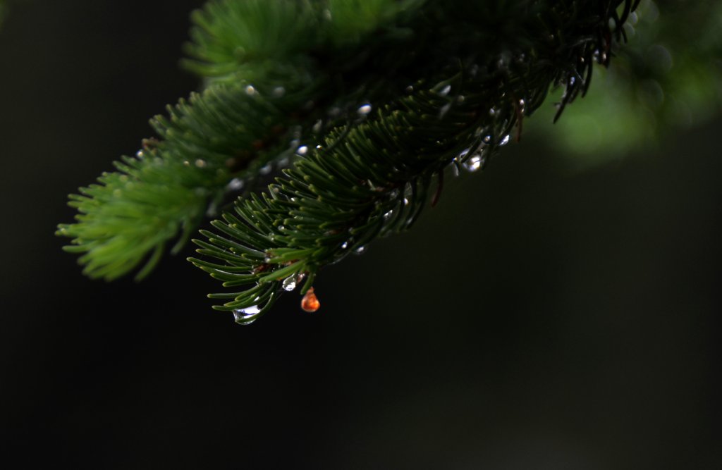 700_2925.jpg