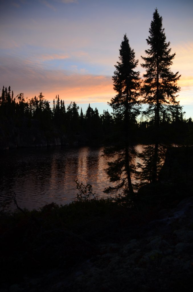 700_5353.jpg