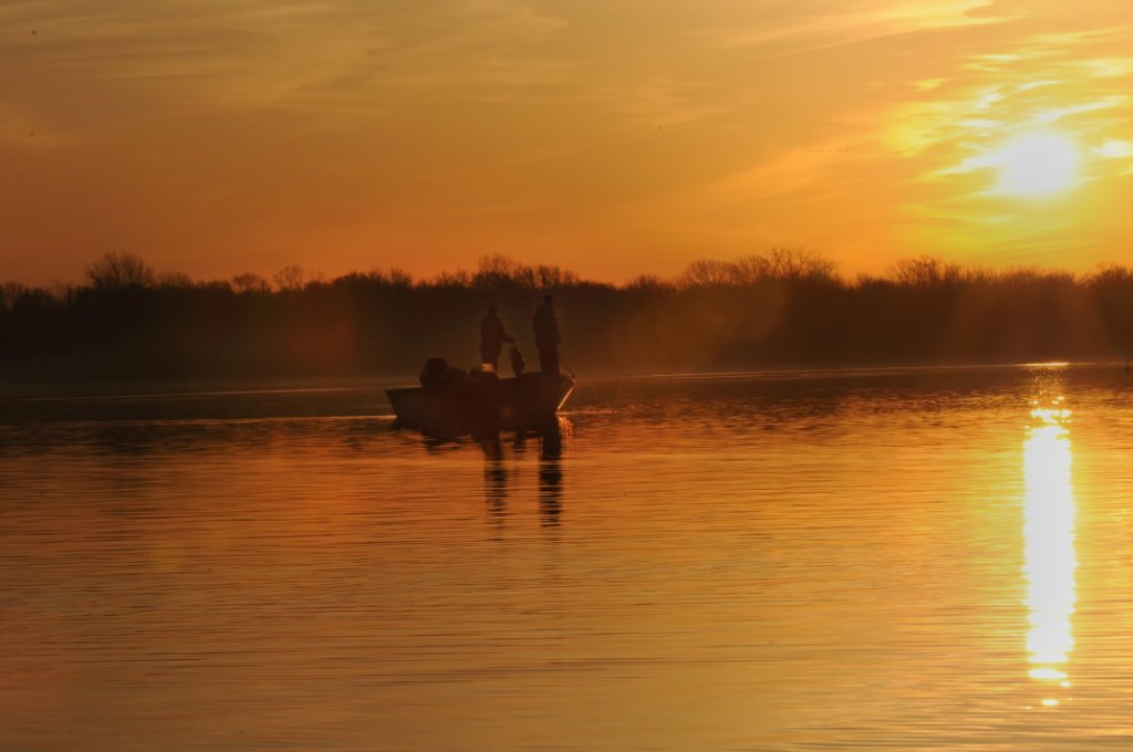 DSC_1880.jpg