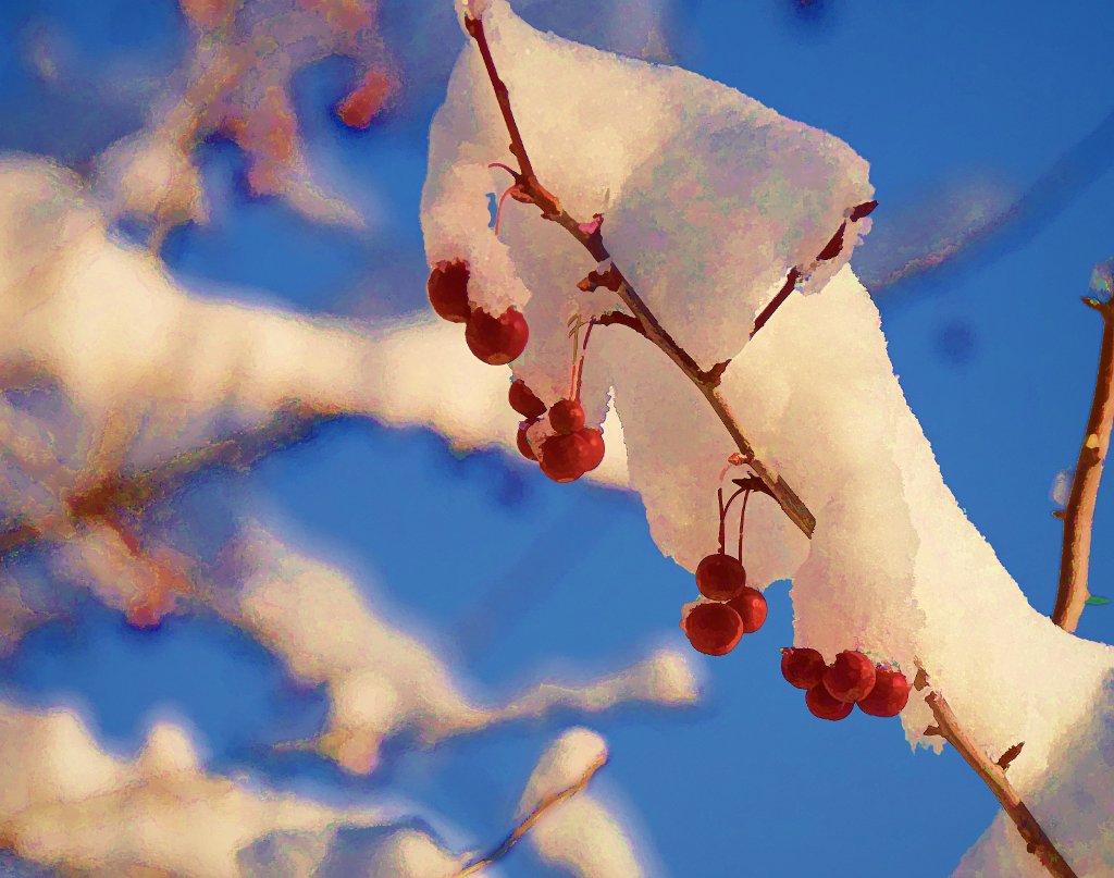 700_7636.jpg