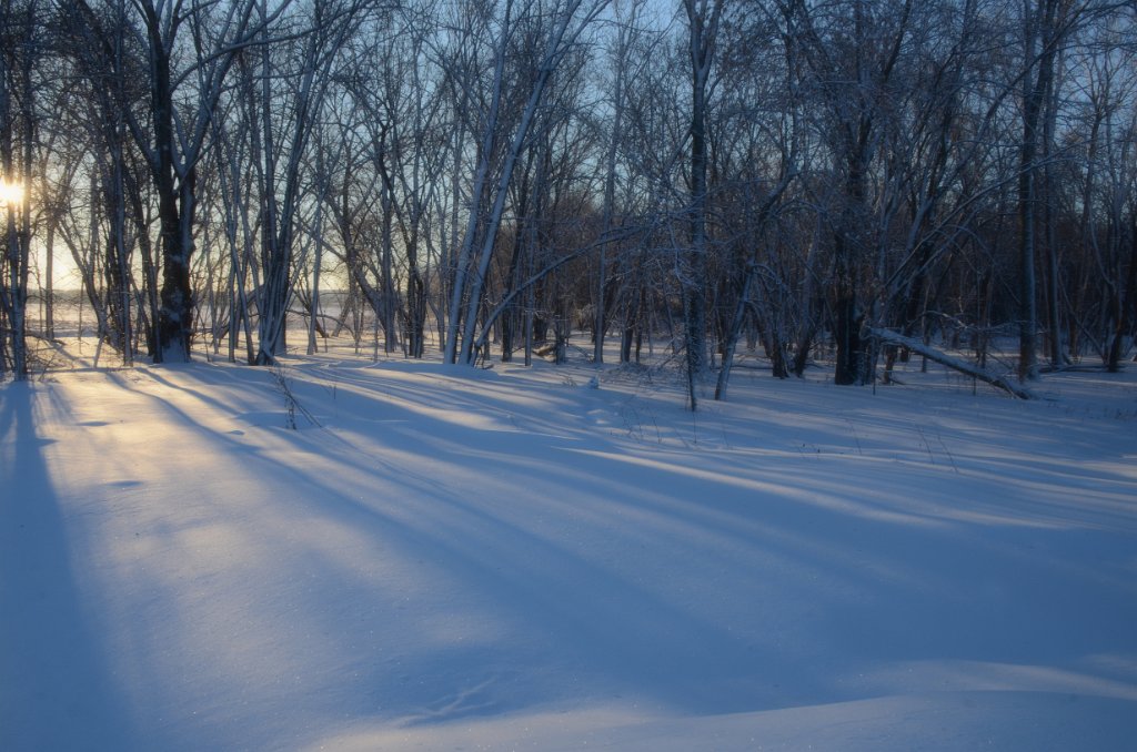 700_7755.jpg