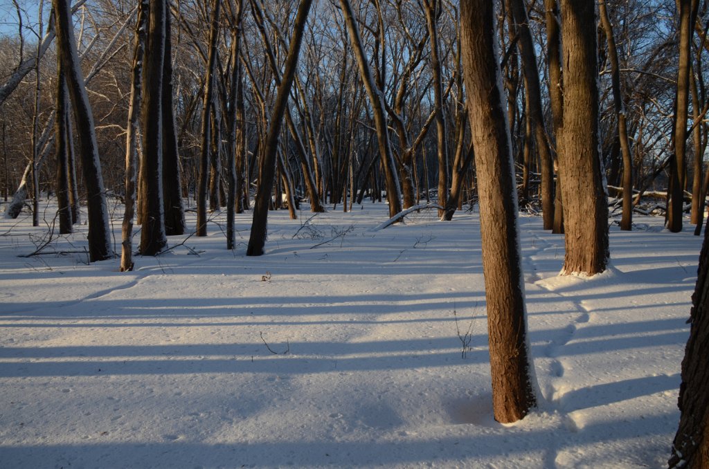 700_7765.jpg
