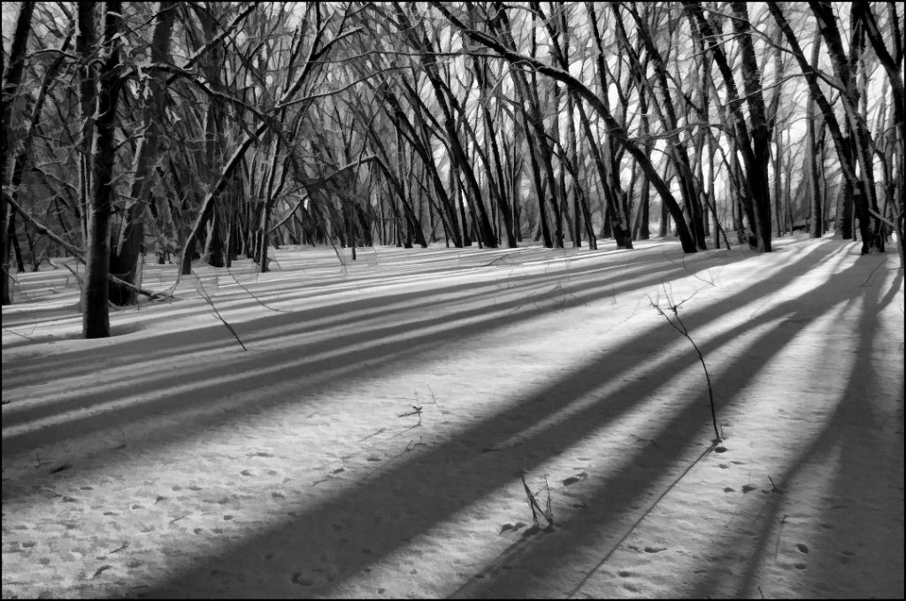 700_7774.jpg