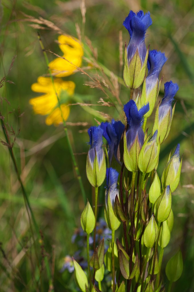 DSC_3108.jpg