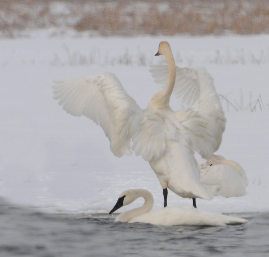 DSC_0693.jpg