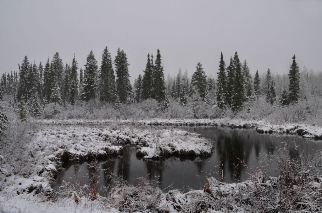 DSC_1137.jpg