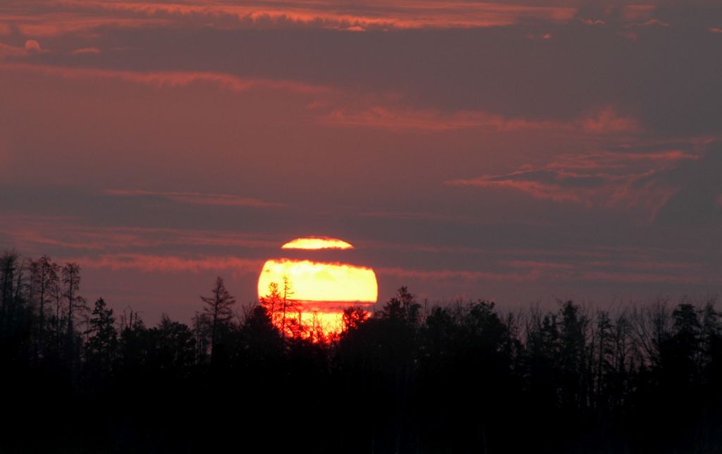DSC_1219.jpg