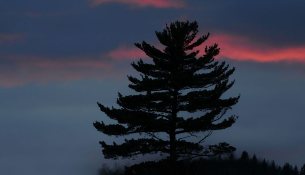 DSC_1260.jpg