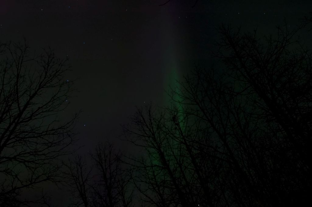 DSC_2303.jpg
