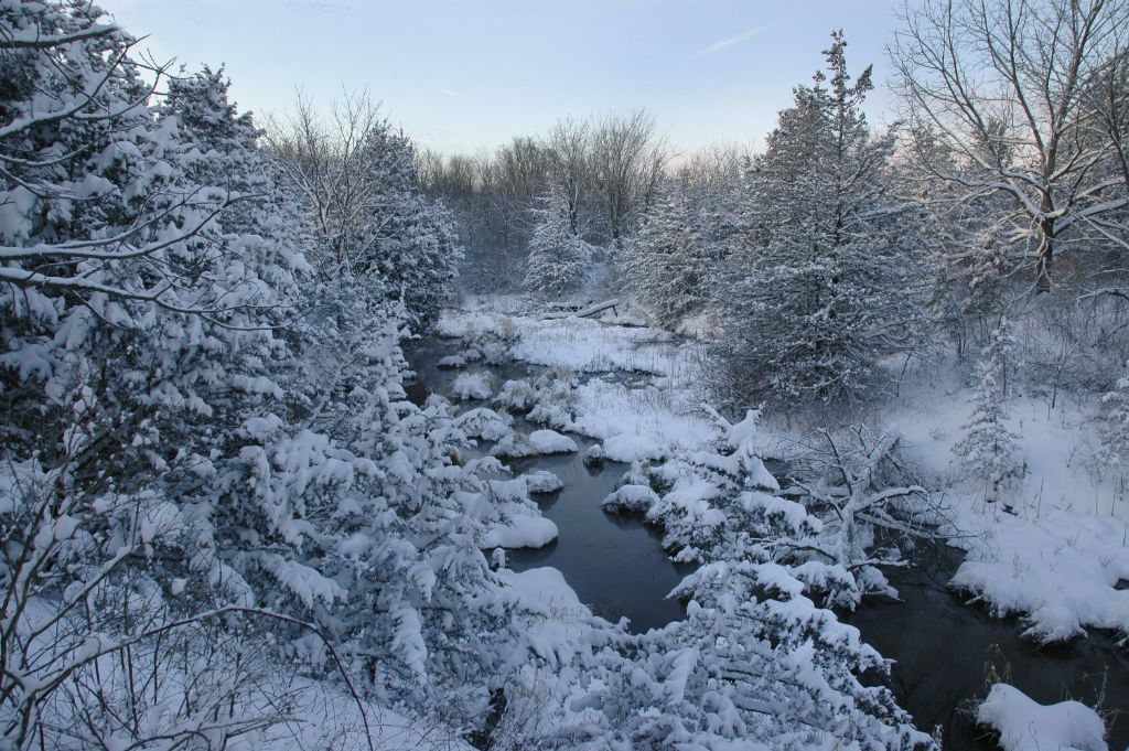 DSC_2586.jpg