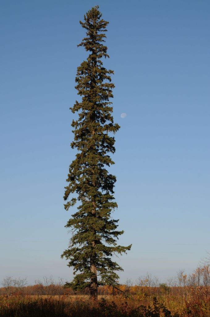 DSC_3460.jpg