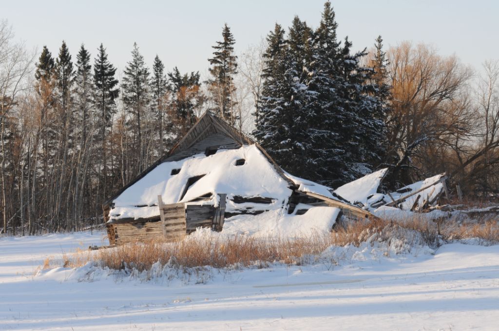 DSC_5037.jpg
