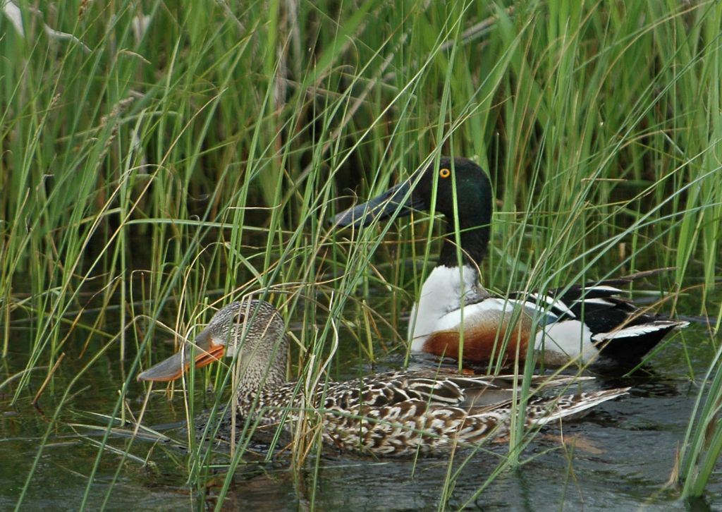 DSC_5941.jpg
