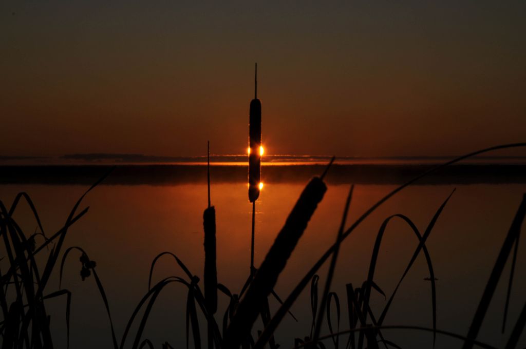 DSC_8333.jpg