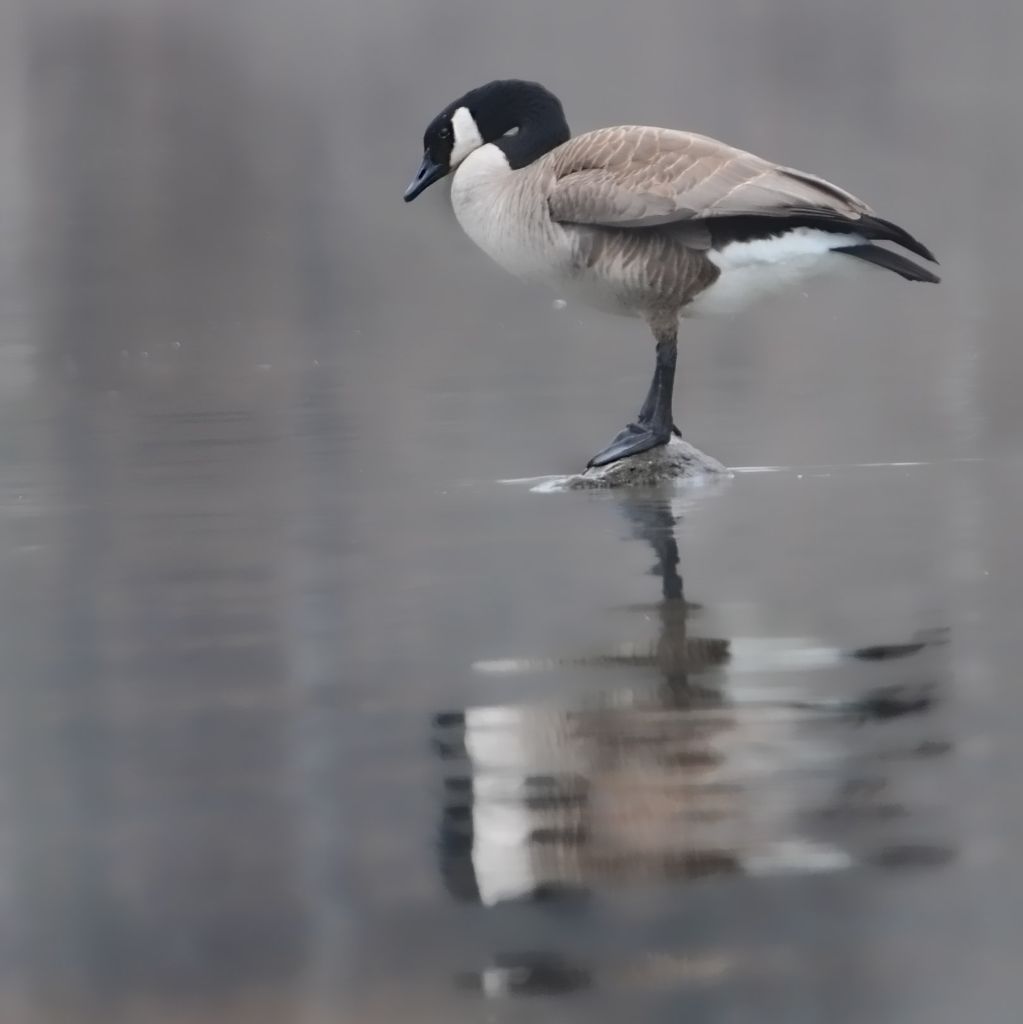 DSC_8659.jpg
