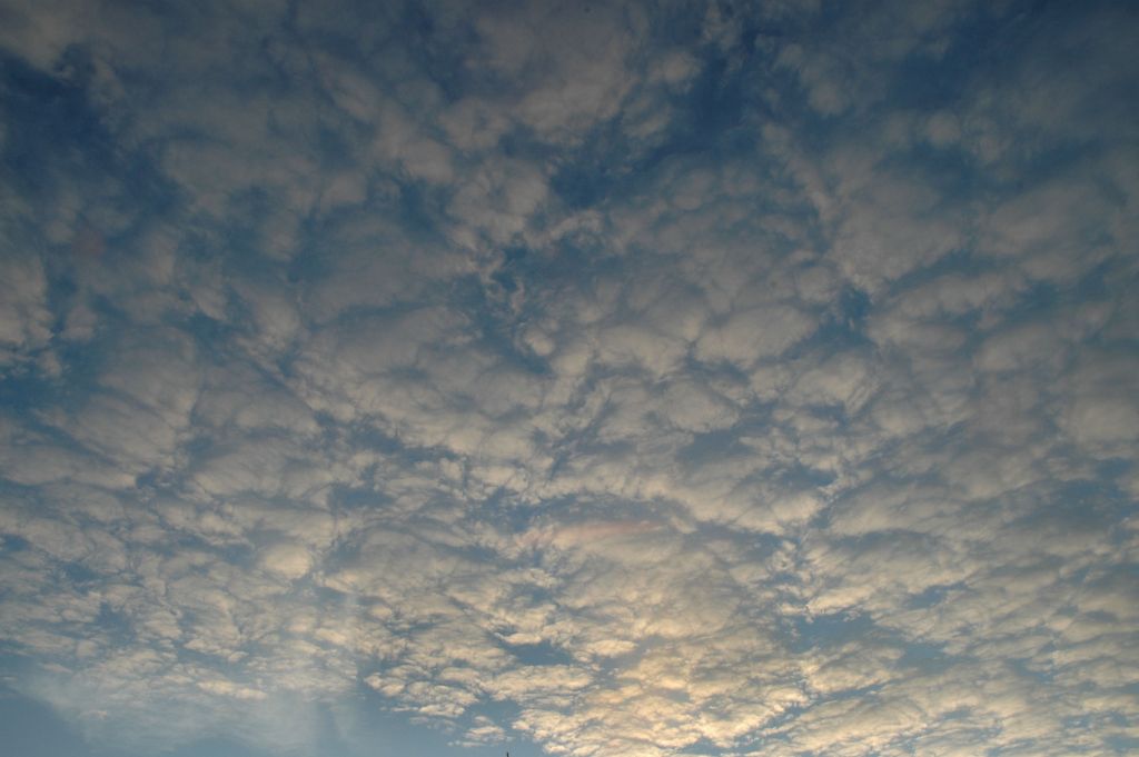 DSC_9255.jpg