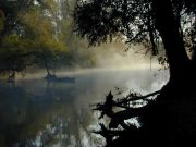 DSCN2351