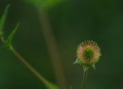 DSC_1285