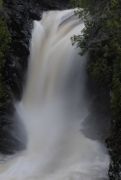 DSC_1611
