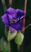 DSC_8761