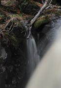 DSC_9951