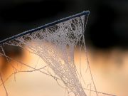IMG_0721