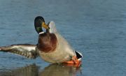 slider2_1600