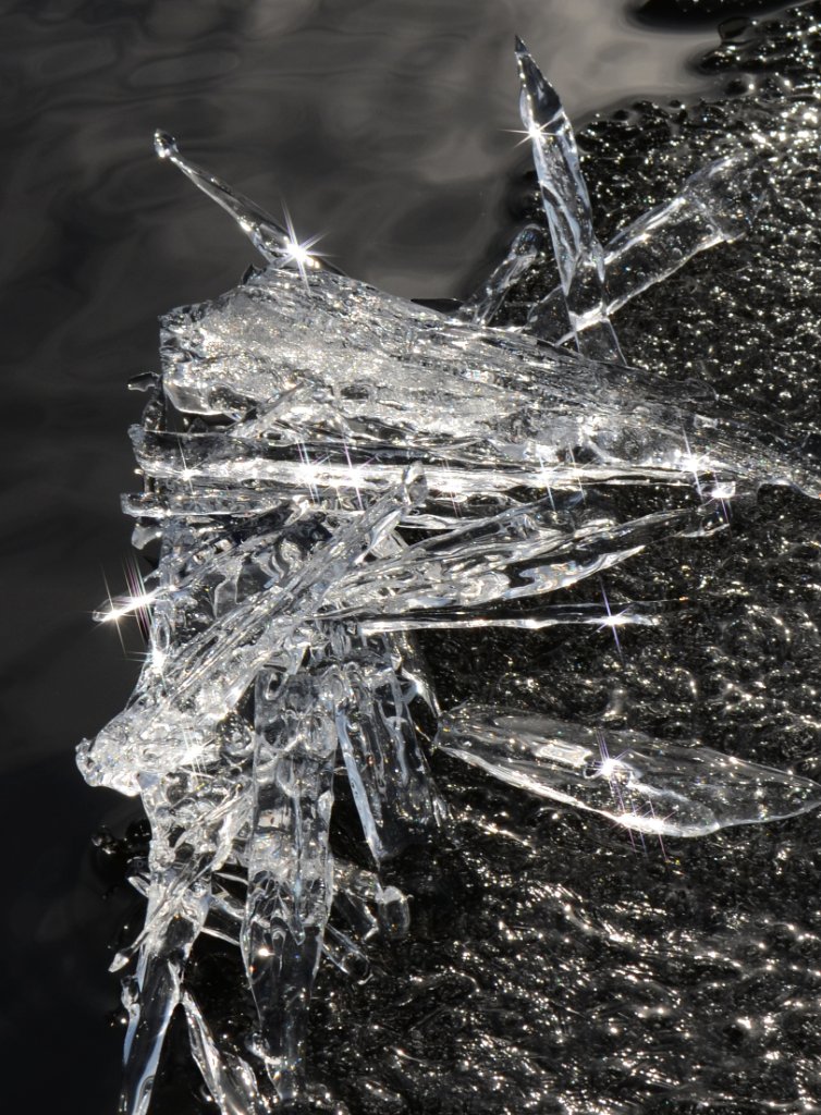 700_8804.jpg - Sparkle