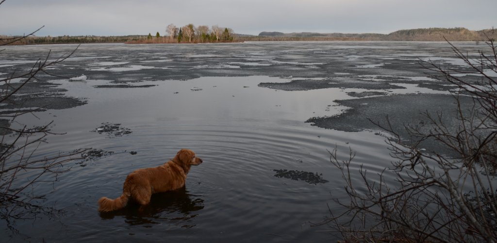 700_8863.jpg - Surveying the situation