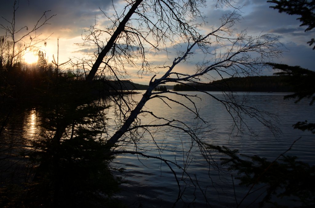 700_8954.jpg - Saturday evening