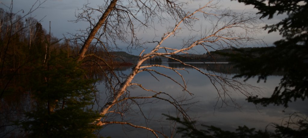 700_8993.jpg - Calm