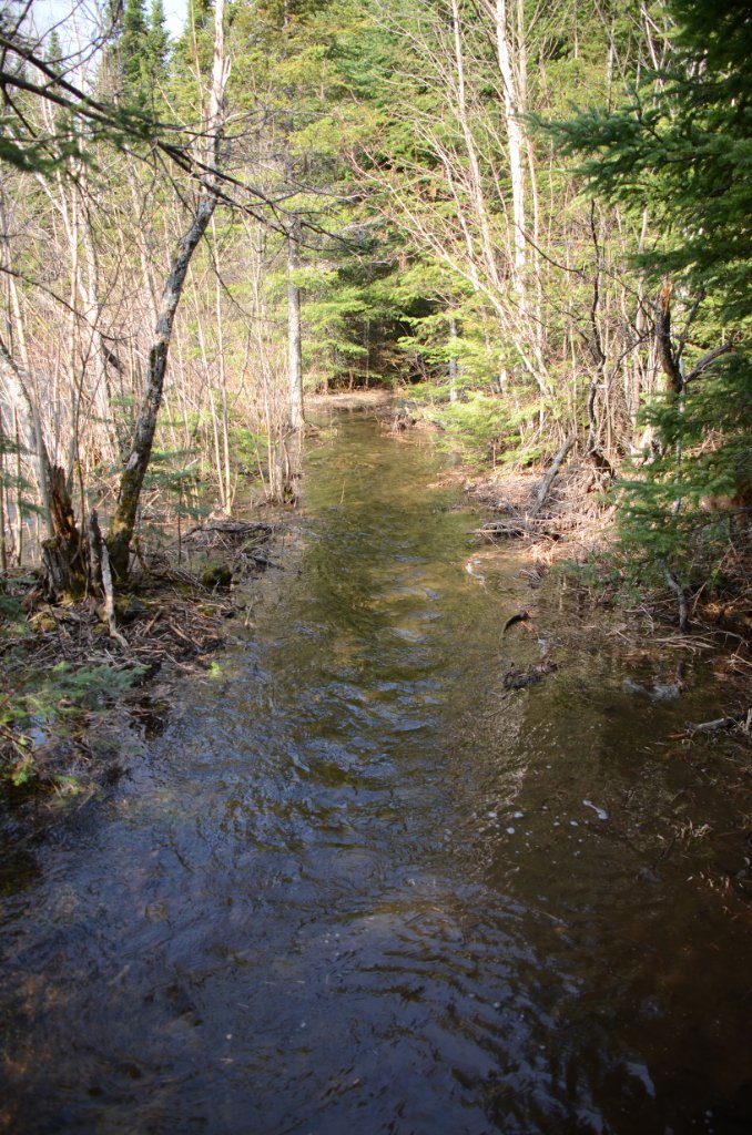 700_9064.jpg - Flowing water on the portage
