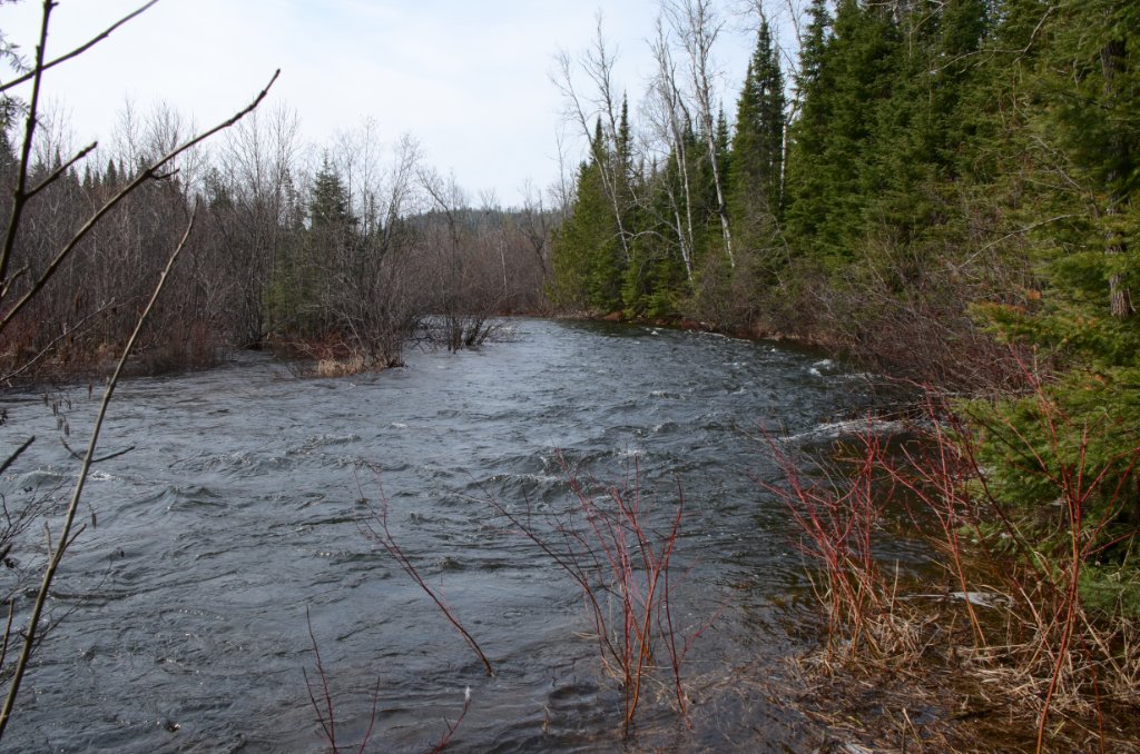 700_9067.jpg - Royal River 