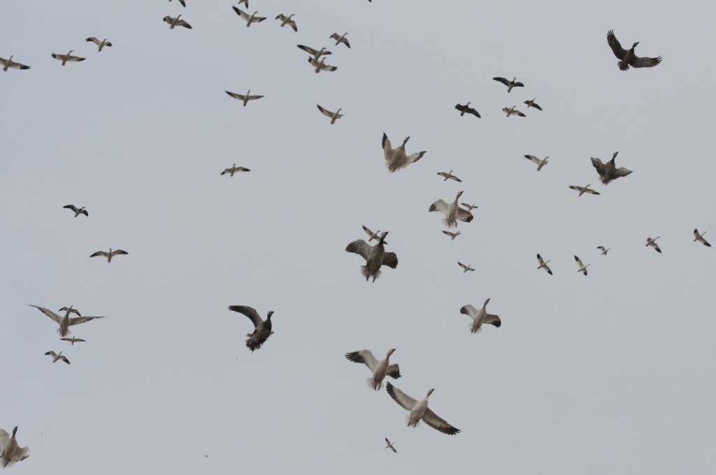 DSC_5827.jpg