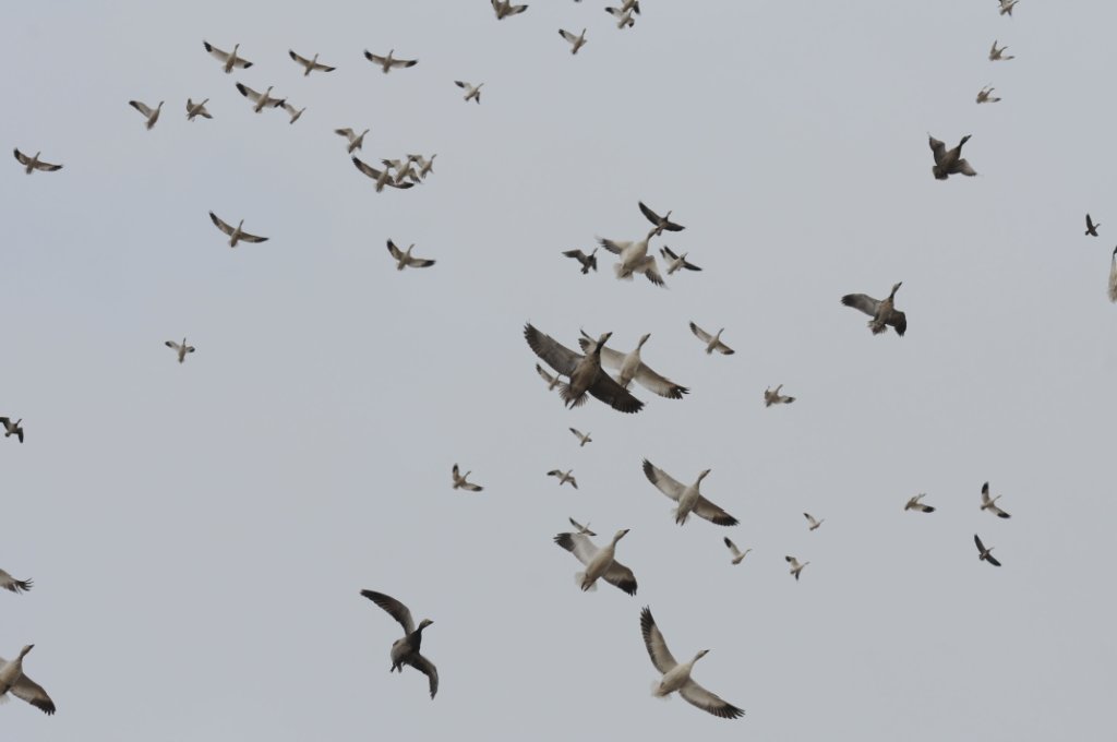 DSC_5829.jpg