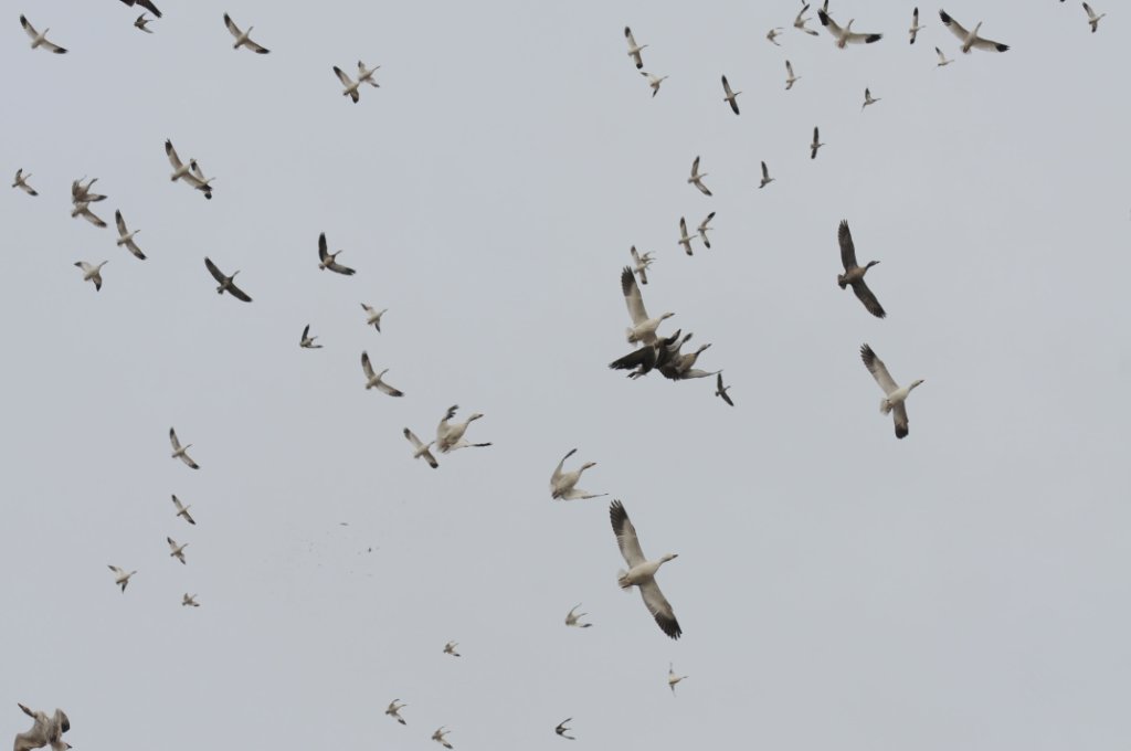 DSC_5833.jpg