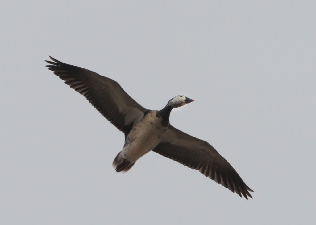 DSC_5847.jpg
