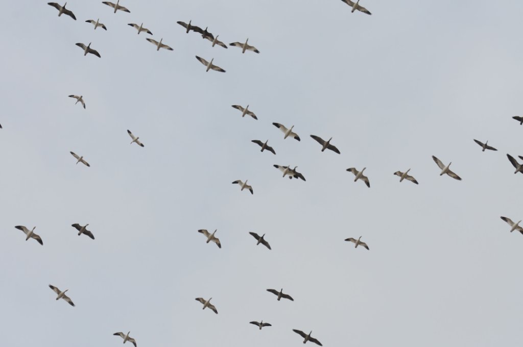 DSC_5895.jpg