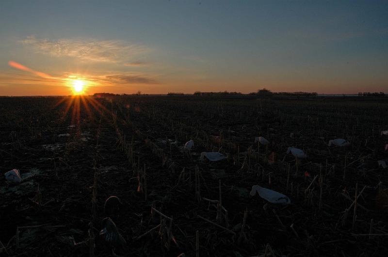 sunrise.jpg