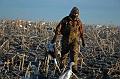 eagle3