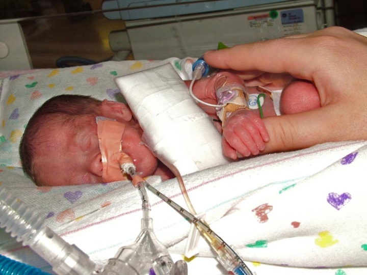twins17.jpg