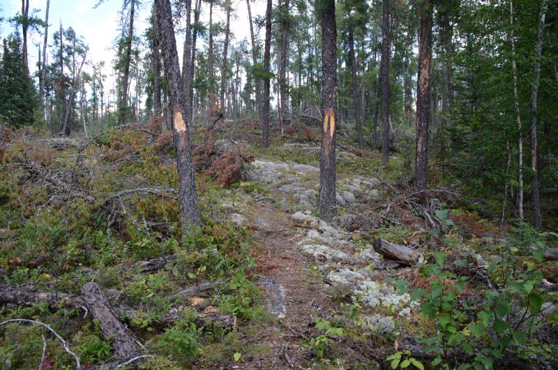 700_4740.jpg - A well marked portage