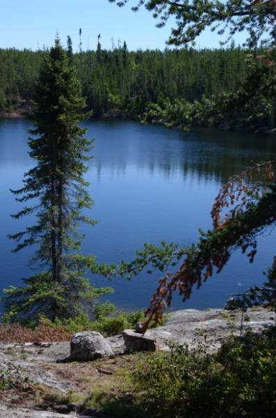 700_4976.jpg - Out of the burn area