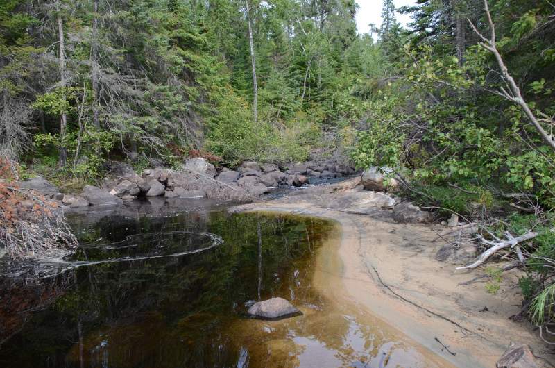 700_5406.jpg - Bog stained water