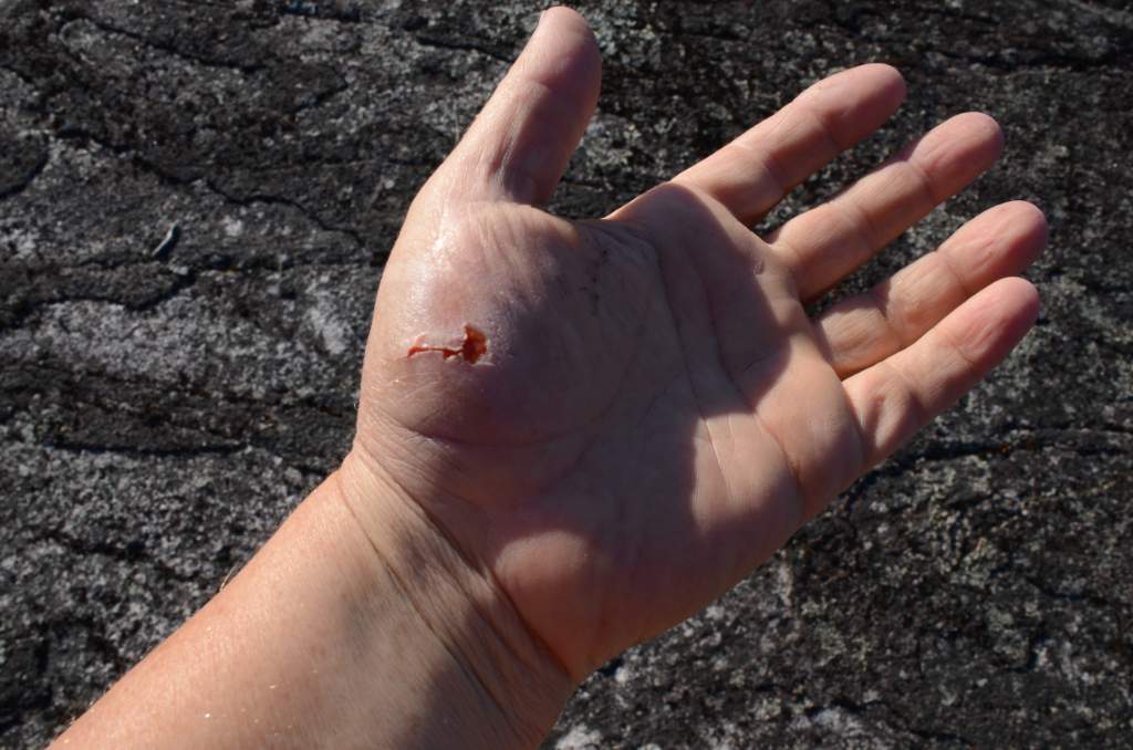700_5408.jpg - Nice gouge 