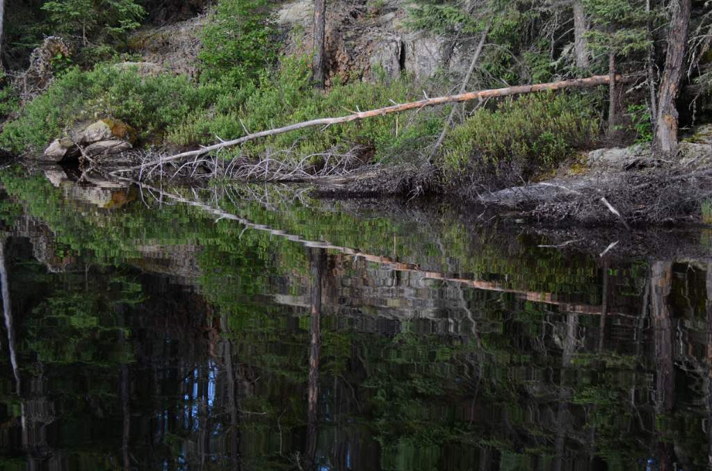 700_5443.jpg - Reflections