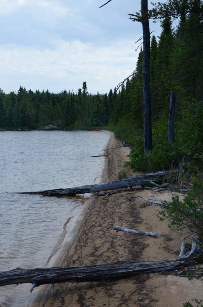 700_5547.jpg - Wrist Lake Beach