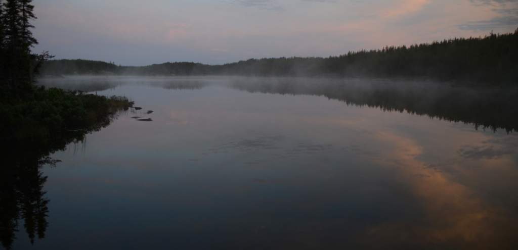 700_5593.jpg - Morning solitude